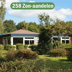 crop_636788591826927638_Bernhard 258